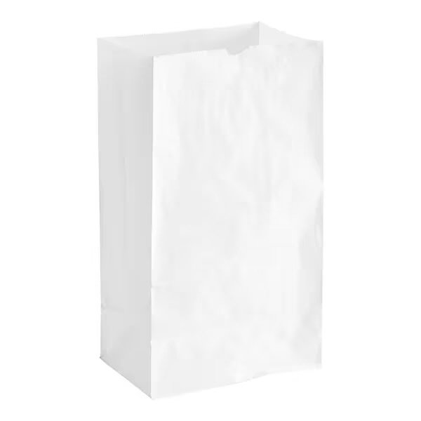 # 20 Heavy Duty White Paper Retail Bag  500/case