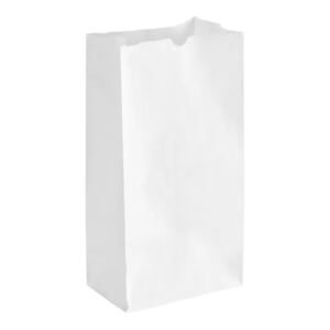 # 25 Heavy Duty White Paper Retail Bag.  500/case