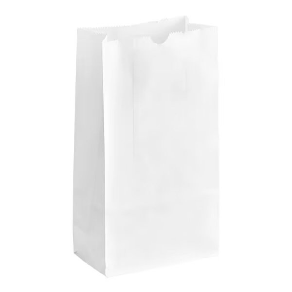 # 2 Heavy Duty White Paper Retail Bag.  500/case