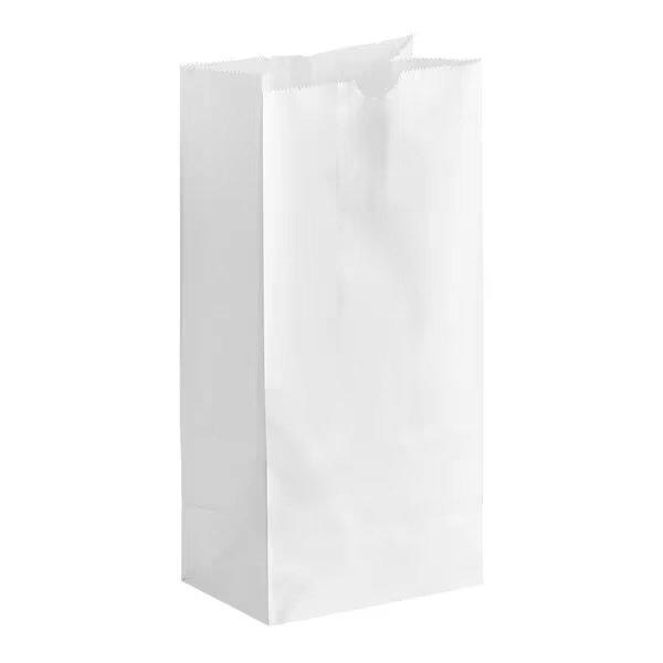 # 8 Heavy Duty White Paper Retail Bag 500/case