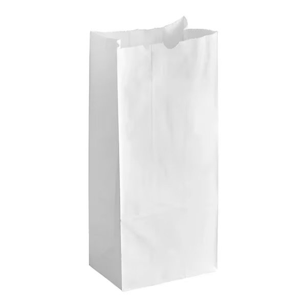 # 10 Heavy Duty White Paper Retail Bag 500/case