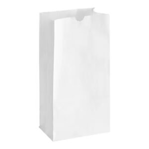 # 16 Heavy Duty White Paper Retail Bag. 500/case