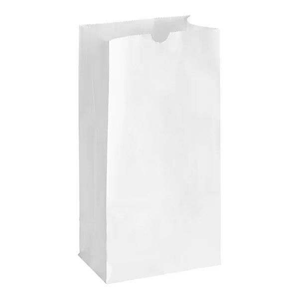 # 12 Heavy Duty White Paper Retail Bag   500/case