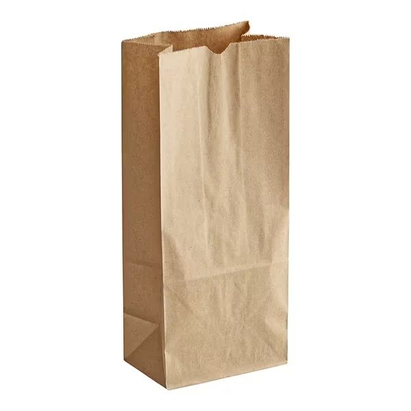 # 6 Natural Kraft Heavy Duty Brown Paper Retail Bag.   500/case