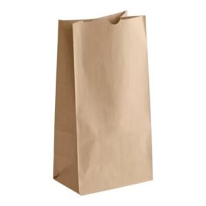 # 12 Natural Kraft Heavy Duty Brown Paper Retail Bag. 500/case
