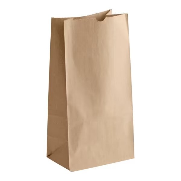 # 12 Natural Kraft Heavy Duty Brown Paper Retail Bag.    500/case