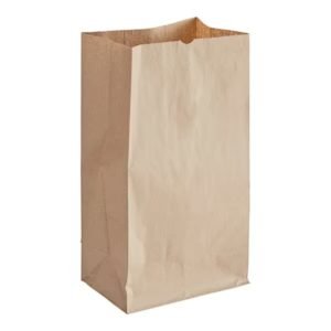 # 20 Natural Kraft Heavy Duty Brown Paper Retail Bag. 500/case