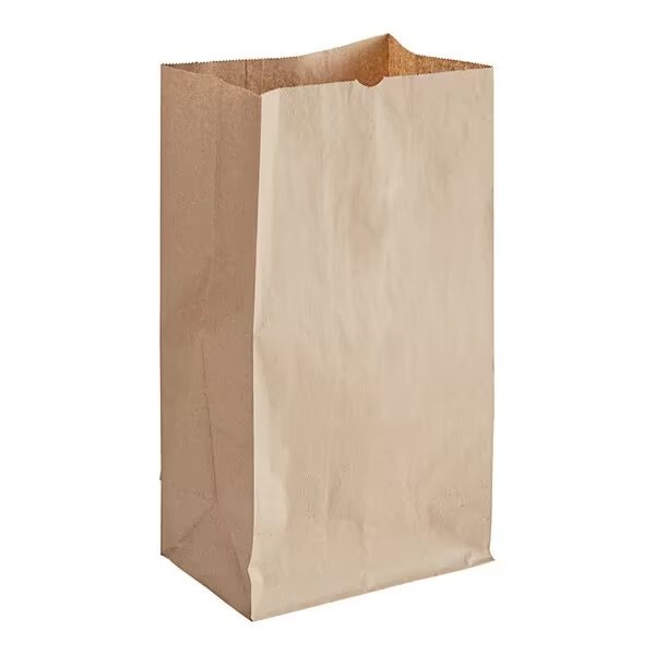 # 20 Natural Kraft Heavy Duty Brown Paper Retail Bag.  500/case