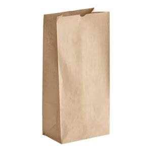 # 25 Natural Kraft Heavy Duty Brown Paper Retail Bag. 500/case