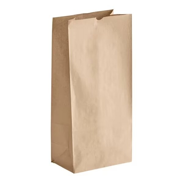 # 25 Natural Kraft Heavy Duty Brown Paper Retail Bag.    500/case
